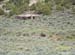 HOMESTEADS-4