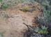 HOMESTEADS-6