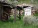 brosmanwespics 086